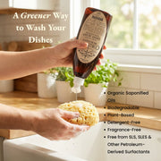 Detox Your Holiday Cleaning Bundle